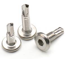 410 SS Screws