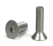 DIN 1.4462 Duplex Countersunk Bolts DIN 1.4462 Duplex Countersunk Bolts