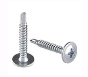 Grade 2205 Duplex Steel Self Drilling Screw Grade 2205 Duplex Steel Self Drilling Screw