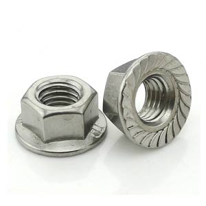 Stainless Steel Flange Nuts Stainless Steel Flange Nuts