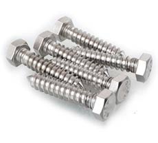 Stainless Steel Hex Head Lag Screws