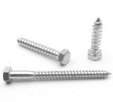 Stainless Steel Hex Lag Screws