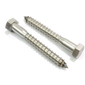 Stainless Steel Lag Screws