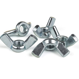 Stainless Steel Wing Nuts Manufacturers