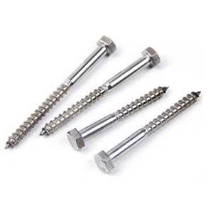 SS Wood Lag Screws