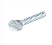 Duplex Steel UNS S32205 Thumb Screw Duplex Steel UNS S32205 Thumb Screw