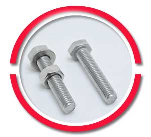 316 SS Hexagon Bolts 316 SS Hexagon Bolts
