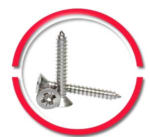 316 SS Self Tapping Screws 316 SS Self Tapping Screws