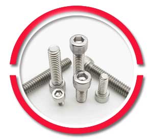316 SS Socket Head Cap Screw