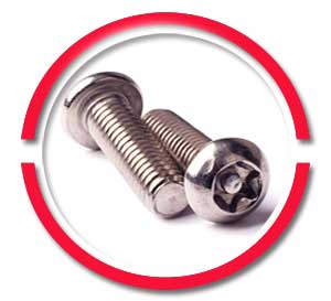 316 Stainless Steel Torx Screws 316 Stainless Steel Torx Screws