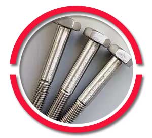 ASTM A193 B8 bolts