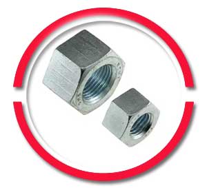 Astm A194 Grade 2h Heavy Hex Nut