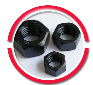 ASTM A194 Grade 2hm Nut