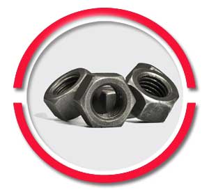ASTM A563 Nuts