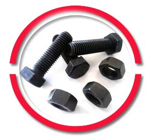 CS Nuts And Bolts CS Nuts And Bolts