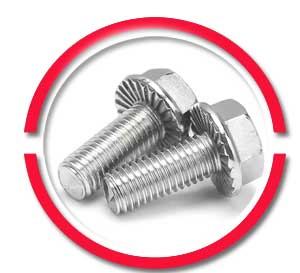 m6 stainless steel flange bolts m6 stainless steel flange bolts