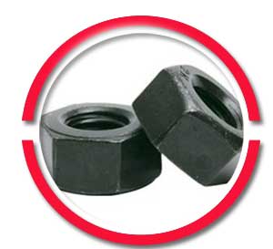 Sa 194 Gr 2hm Heavy Hex Nuts