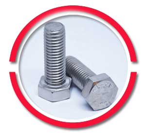 SS Heavy Hex Bolts SS Heavy Hex Bolts