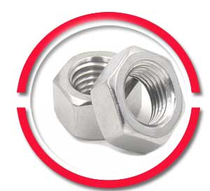 SS Heavy Hex Nut SS Heavy Hex Nut