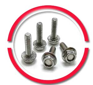 SS Toilet Flange Bolts SS Toilet Flange Bolts