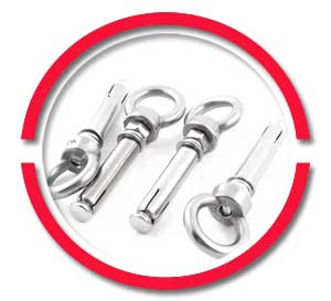 Stainless Steel Anchor Eye Bolts Stainless Steel Anchor Eye Bolts