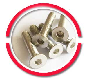 Stainless Steel Countersunk Screws Stainless Steel Countersunk Screws