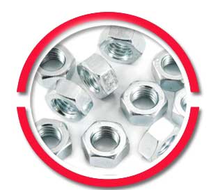 Stainless Steel Hex Nut Stainless Steel Hex Nut