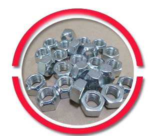 Stainless Steel Lock Nuts Stainless Steel Lock Nuts