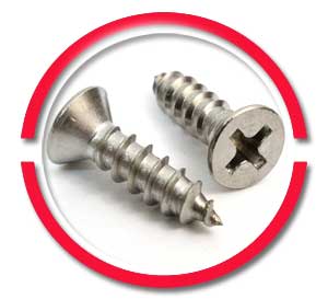 Stainless Steel Self Drilling Wood Screws Stainless Steel Self Drilling Wood Screws