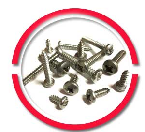 Stainless Steel Self Tapping Screws Stainless Steel Self Tapping Screws