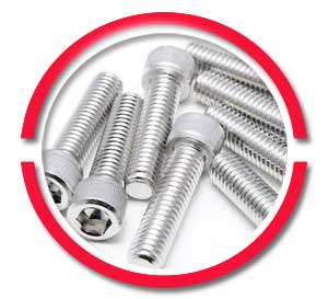 Stainless Steel Socket Head Cap Screws