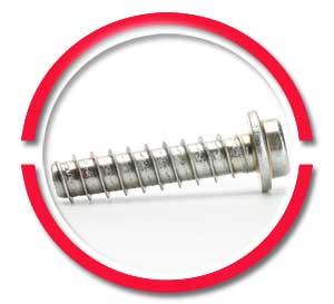 Stainless Steel Torx Screws Stainless Steel Torx Screws