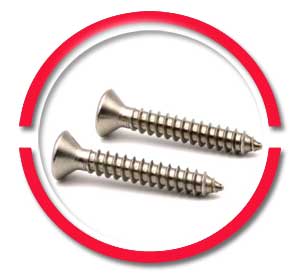 SS Torx Wood Screws SS Torx Wood Screws