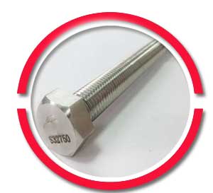 2507 Super Duplex Stainless Steel Hex Bolts