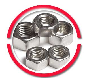 310 Stainless Steel Nuts