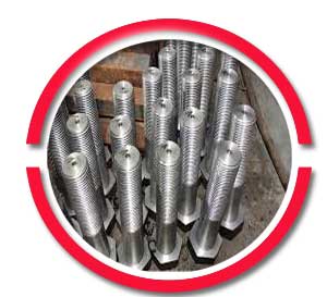 SS 304L Hex Bolt SS 304L Hex Bolt