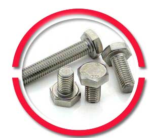 SS 310 Hex Bolts