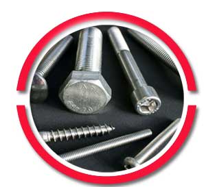 Stainless Steel 304l Bolts
Stainless Steel 304l Bolts