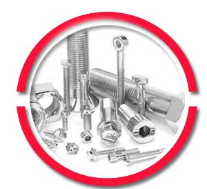 Stainless Steel 310 Fasteners