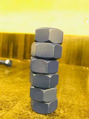 2H Nuts PTFE Coated 