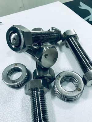 B8 Bolt and 304 Washer 