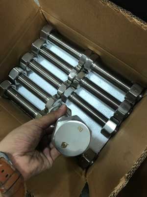 B8 Bolt With Nut Packing 