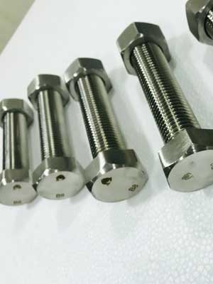 B8 Bolt With Nut
