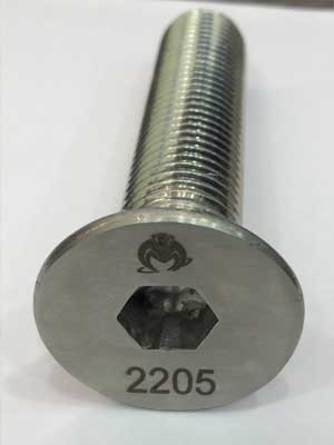 Duplex Socket Head Screw Duplex Socket Head Screw