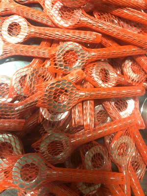 SS 310 Eye Bolts