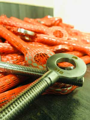 SS 316 Eye Bolts