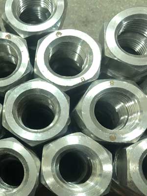 SS 316 Nuts